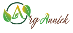 OrgAnnick Beauty