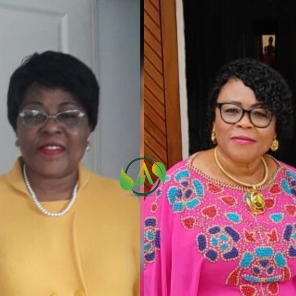 Brightening Plant-Based Set with Carrot and Rosehip Set